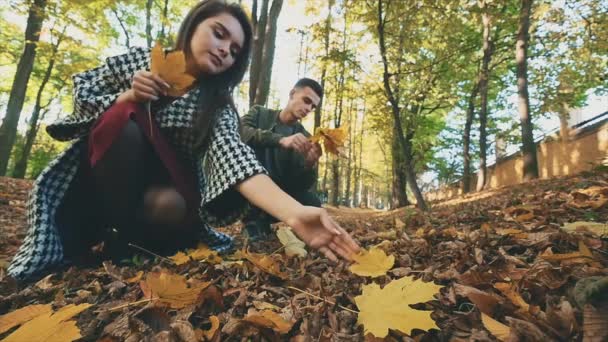 Para zbiera liście klonu w jesiennym parku. 4K. — Wideo stockowe