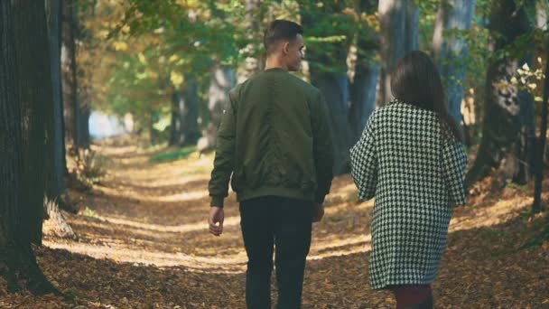 Lento. Una pareja amorosa camina en el parque de otoño. Están sonriendo y hablando. Fondo borroso. Copiar espacio. 4K . — Vídeo de stock