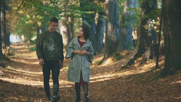 Lento. Una pareja amorosa camina en el parque de otoño. Están sonriendo y hablando. Fondo borroso. Copiar espacio. 4K . — Vídeo de stock
