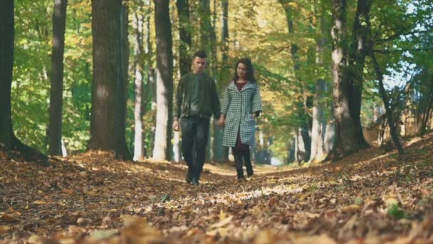 Langsam. Ein Liebespaar geht im Herbstpark spazieren. Sie lächeln und reden. Unscharfer Hintergrund. Kopierraum. 4K. — Stockvideo