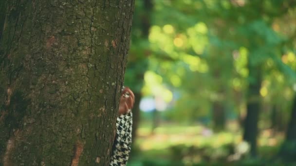 Långsamt. Glad leende kaukasiska flicka dyker upp från träd kaudex, isolerade, på suddig park bakgrund. Närbild. Kopiera utrymme. — Stockvideo