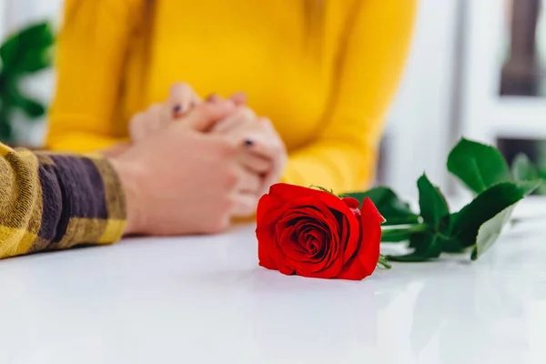 Beskuren bild av unga människor, möte på café vid speciella tillfällen, pojke gav en röd ros till sin bedårande flickvän. Fokus på framkant. — Stockfoto