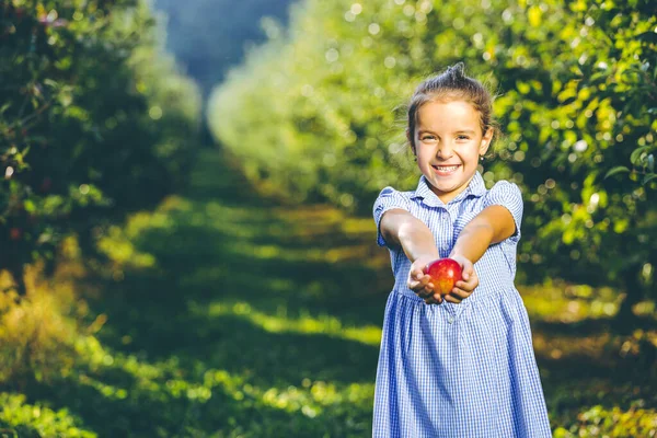 Χαριτωμένο κοριτσάκι στέκεται πάνω από θολή φόντο κήπο φθινόπωρο, επέκταση μεγάλο κόκκινο μήλο στις παλάμες της στην κάμερα, χαμογελώντας όμορφη. — Φωτογραφία Αρχείου