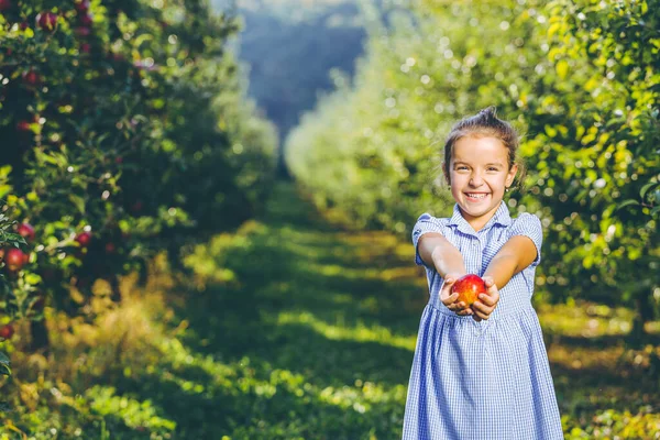 Χαριτωμένο χαμογελαστό κοριτσάκι δίνει ένα κόκκινο μήλο και σας προσκαλεί σε ένα κήπο μήλο. — Φωτογραφία Αρχείου