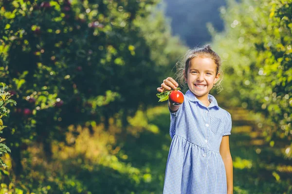 Σκέψη για φαγητό. Το παιδί φορούσε ωραίο μπλε φόρεμα, σου δίνει ένα μήλο, με χαρά.. — Φωτογραφία Αρχείου