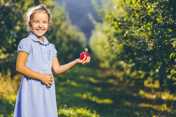 Χαριτωμένο χαμογελαστό κοριτσάκι δίνει ένα κόκκινο μήλο και σας προσκαλεί σε ένα κήπο μήλο. — Φωτογραφία Αρχείου