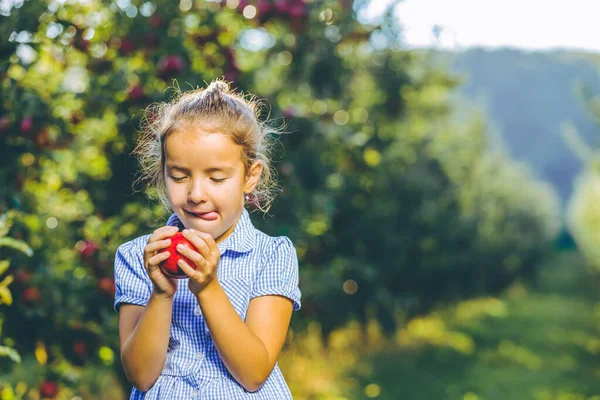 Πορτρέτο του όμορφου μικρού θηλυκού κρατώντας ένα κόκκινο μήλο και προεξέχοντας από τη γλώσσα της, τα μάτια της κλειστά, αναζητούν ονειρική και ευχάριστη. — Φωτογραφία Αρχείου