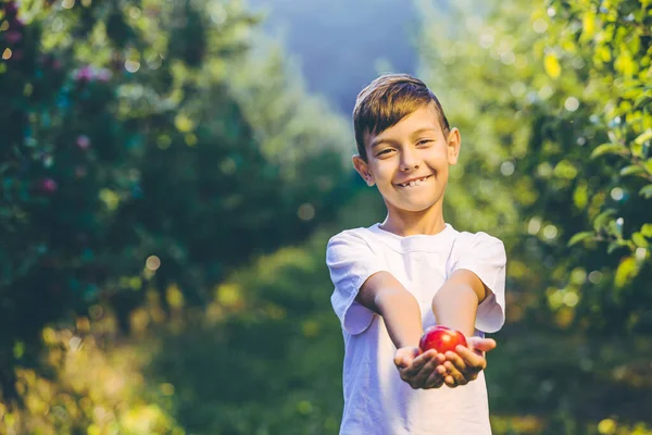 Χαριτωμένο χαμογελαστό αγόρι δίνει ένα κόκκινο μήλο και σας προσκαλεί σε ένα κήπο μήλο. — Φωτογραφία Αρχείου