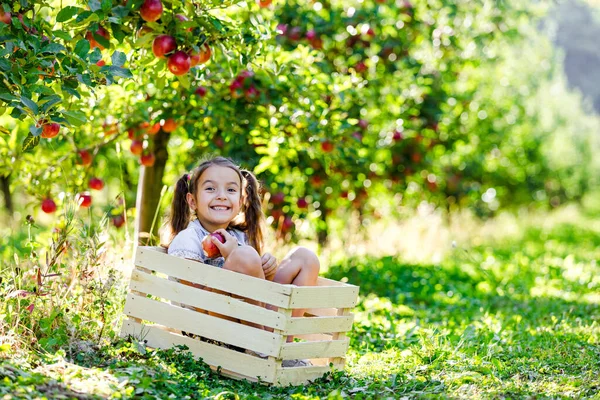 Καταπληκτικό κοριτσάκι που κάθεται σε ένα κιβώτιο για μήλα στον κήπο, κοιτάζοντας την κάμερα με αστεία έκφραση προσώπου. — Φωτογραφία Αρχείου