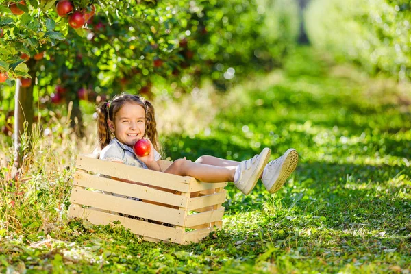 Ευτυχισμένο παιδί περνάει καλά στις διακοπές του στην εξοχή, στον κήπο γεμάτο ώριμα ζουμερά μήλα. — Φωτογραφία Αρχείου