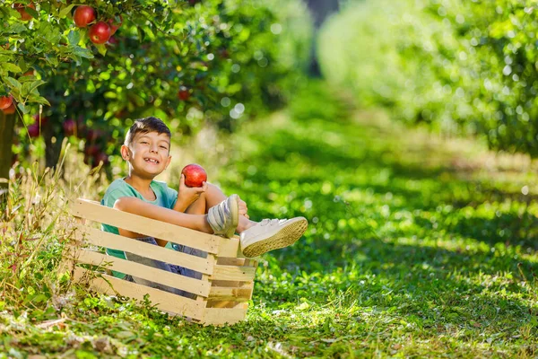 Happy kid passer un bon moment en vacances à la campagne, dans le jardin plein de pommes juteuses mûres. — Photo