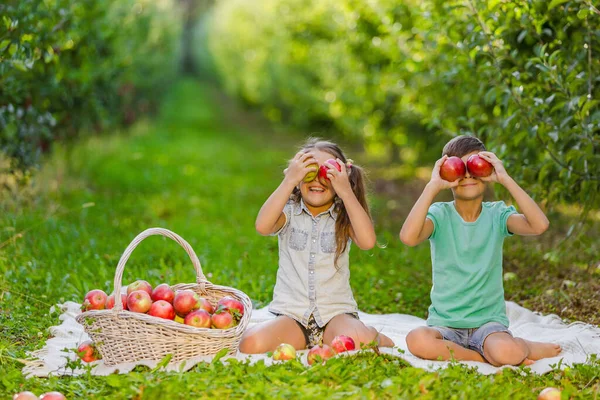 Farmářské děti prezentující sklizeň, držící jablka před očima, sedící na kostkovaném pozadí rozostřené zahrady. — Stock fotografie