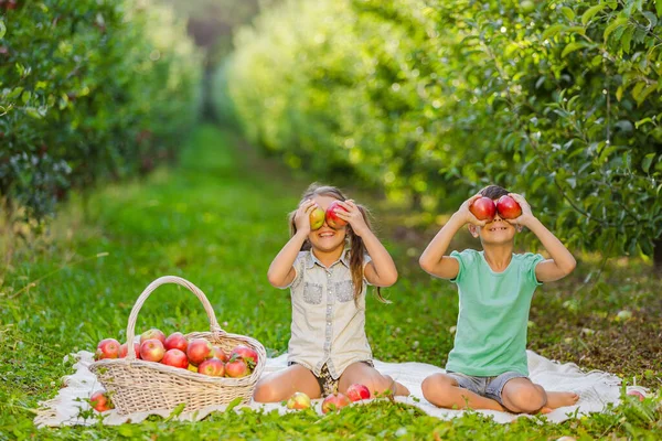Αστεία φωτογραφία μικρών παιδιών να παίζουν στον κήπο του φθινοπώρου, κρατώντας μήλα μπροστά στα μάτια τους, διασκεδάζοντας.. — Φωτογραφία Αρχείου