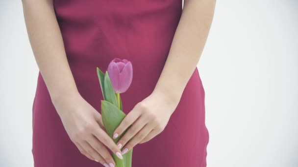 Vídeo em câmera lenta da menina bonita no vestido marrom cheira a uma tulipa macia sobre fundo branco . — Vídeo de Stock