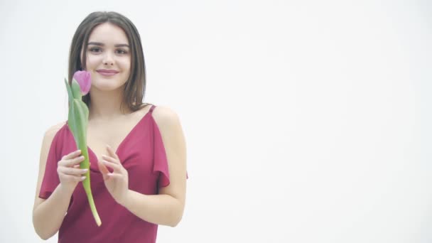 Feliz Dia das Mulheres. 4k vídeo de mulher animada fica com um monte de tulipas por ocasião das férias femininas da primavera . — Vídeo de Stock