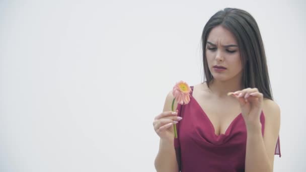 마른 꽃을 들고 있는 한 여인 의 4k 비디오, 흰색 배경에 대한 슬픔으로 바라보고 있는 모습. — 비디오