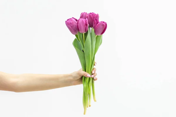 Manikürlü bir kadın, beyaz arka planda pembe laleler tutuyor..