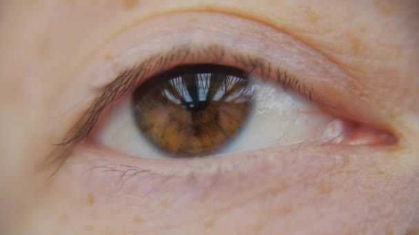 Closeup video of hazel eye of little child winking, moving from one side into another. — Stock Video
