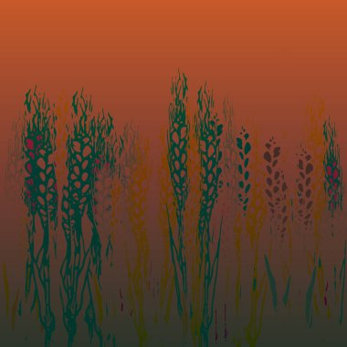 Spikelets gradyan arka planı üzerinde alan hasat.