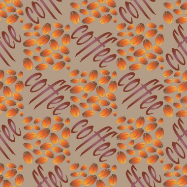 Kahve çekirdekleri arkaplansız.