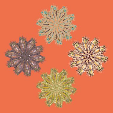 Stil zentangle yeni simetrik mandala doodle ile sanat esin kaynağı oldu. Duvar kağıdı, desen dolgularını, web sayfaları, yüzey dokuları için dekoratif nesne-ebilmek var olmak kullanılmış.