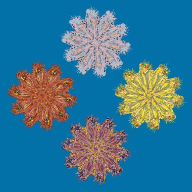 Stil zentangle yeni simetrik mandala doodle ile sanat esin kaynağı oldu. Duvar kağıdı, desen dolgularını, web sayfaları, yüzey dokuları için dekoratif nesne-ebilmek var olmak kullanılmış.