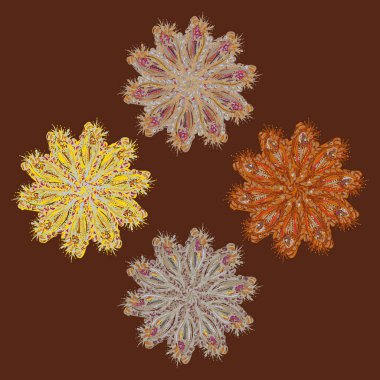 Stil zentangle yeni simetrik mandala doodle ile sanat esin kaynağı oldu. Duvar kağıdı, desen dolgularını, web sayfaları, yüzey dokuları için dekoratif nesne-ebilmek var olmak kullanılmış.