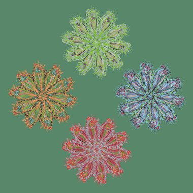 Stil zentangle yeni simetrik mandala doodle ile sanat esin kaynağı oldu. Duvar kağıdı, desen dolgularını, web sayfaları, yüzey dokuları için dekoratif nesne-ebilmek var olmak kullanılmış.