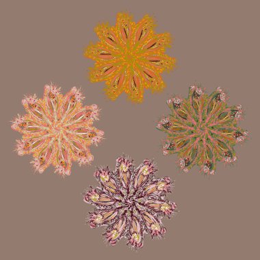 Stil zentangle yeni simetrik mandala doodle ile sanat esin kaynağı oldu. Duvar kağıdı, desen dolgularını, web sayfaları, yüzey dokuları için dekoratif nesne-ebilmek var olmak kullanılmış.