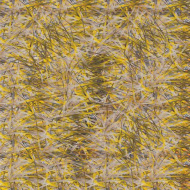 Soyut renkli Dikişsiz desen arka planı için. 