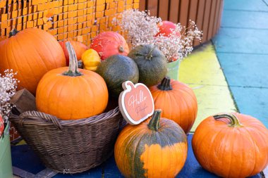 Çeşitli turuncu ve yeşil balkabaklarıyla sonbahar gösteriminin yakın görüntüsü, bazıları örülmüş sepetin içinde, mevsimlik dekorlar için hoş bir Merhaba Balkabağı tabelası içeriyor.