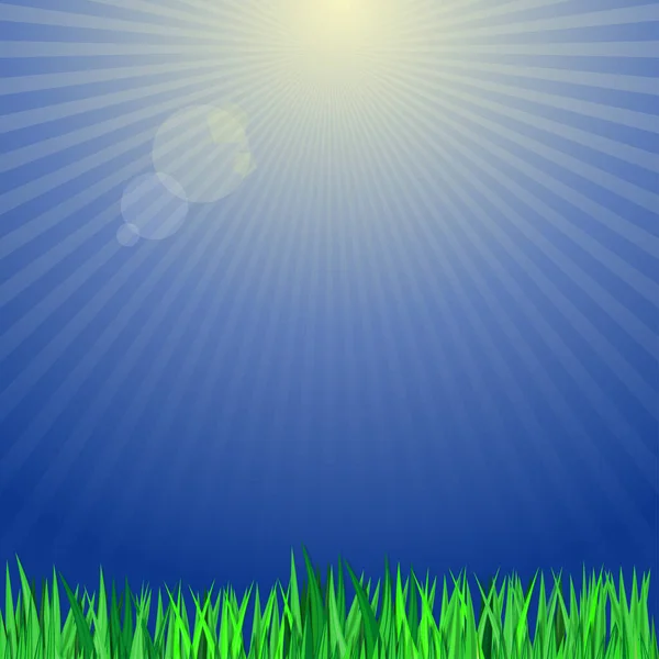 Erba Verde Uno Sfondo Dei Raggi Solari Sfondo Con Erba — Vettoriale Stock
