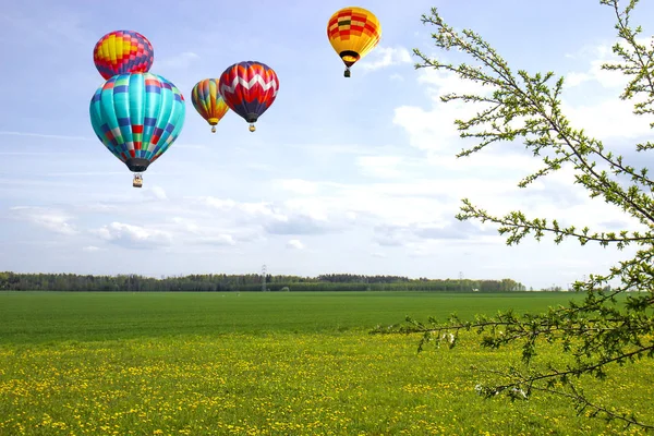 Balony nad polami rowncy.