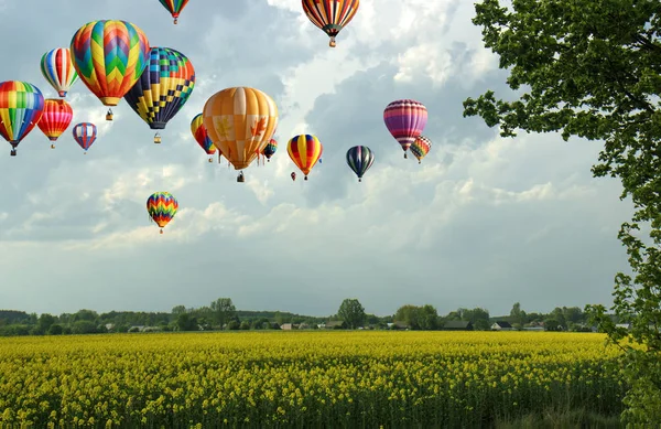 Balony nad polami rowncy.