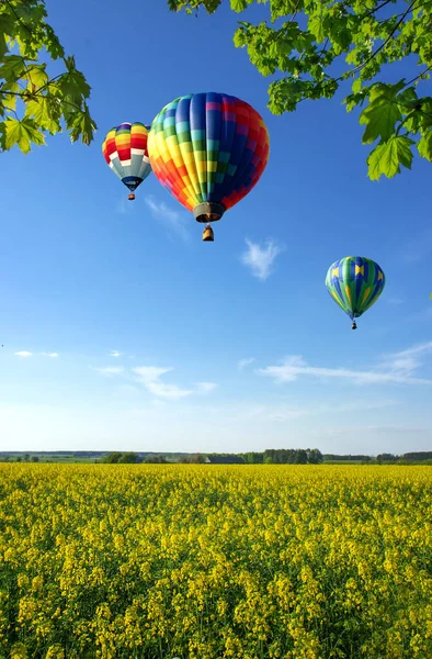 Balony Nad Polami Rzepaku — Zdjęcie stockowe