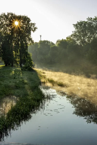 Jsme Zranění Letním Dopoledne Nedaleko Břehů Řeky Mukhavec Brest Bělorusko — Stock fotografie