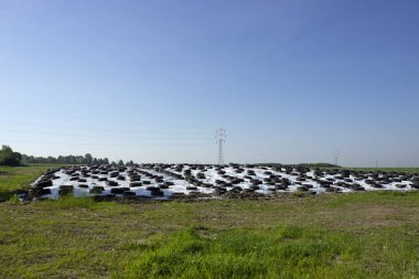 Ahşap, cips, açık depolama.