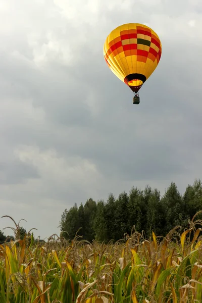 Vol Romantique Montgolfière Dessus Sol — Photo