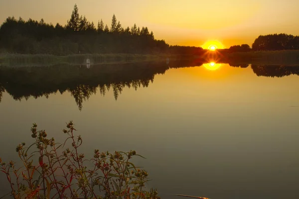 Natuur Bij Zonsondergang Aan Het Meer — Stockfoto