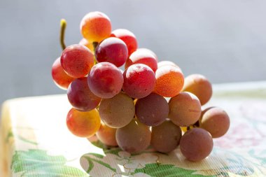 Bahçesinde yetiştirilen sonbahar ürünleri.