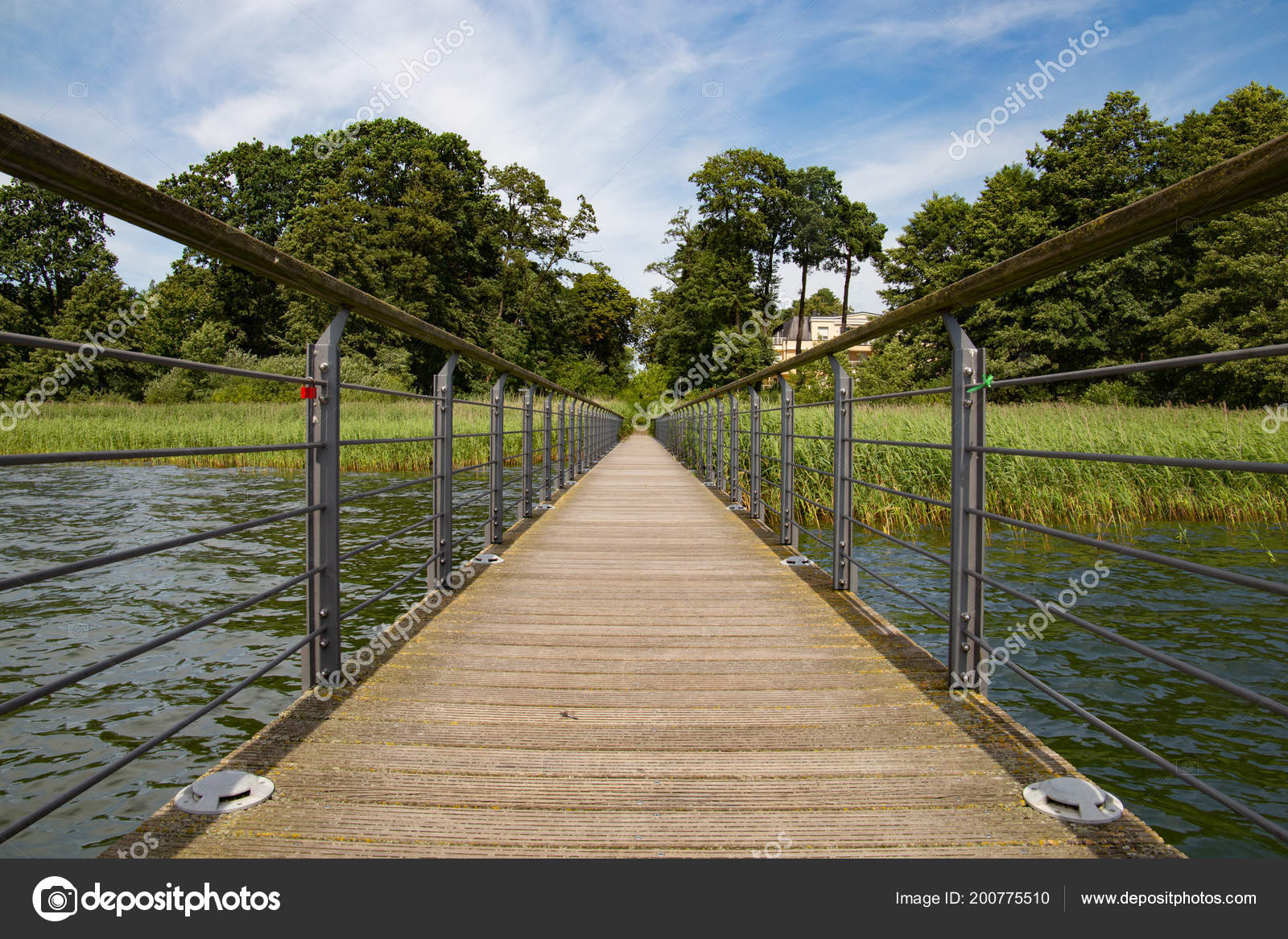 Wood bridge on the forest vanishing point perspective — Stock Photo © Karneg #200775510
