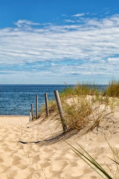 Dune adlı Baltık Denizi, çim kumul plaj deniz manzarası