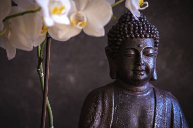 Buda meditasyon ile orkide cins koyu arka plan