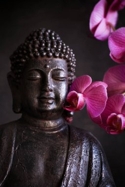 Buda meditasyon ile orkide cins koyu arka plan