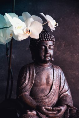 Buda meditasyon ile orkide cins koyu arka plan