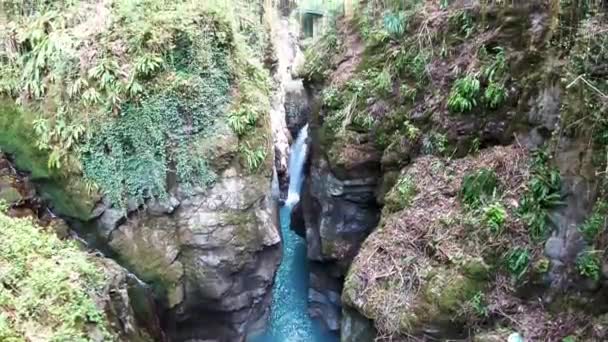 Vidéo de cascade et de la nature — Video