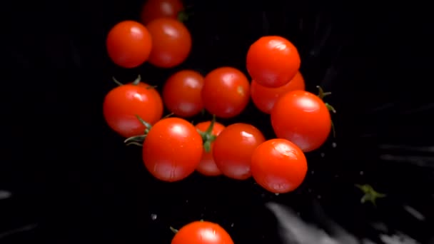 Los tomates sobre fondo negro se acercan a la lente. Movimiento lento — Vídeo de stock