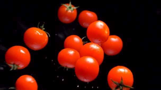 Tomatoes on a black background approach the lens. Slow motion — Stock Video