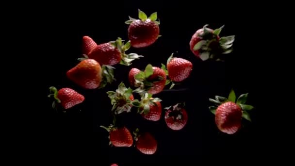 Φράουλες σε μαύρο φόντο πλησιάζουν το φακό. Αργή κίνηση — Αρχείο Βίντεο