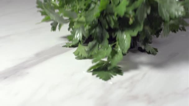 Spanking the parsley, the drops drop the spraying. — Stock Video